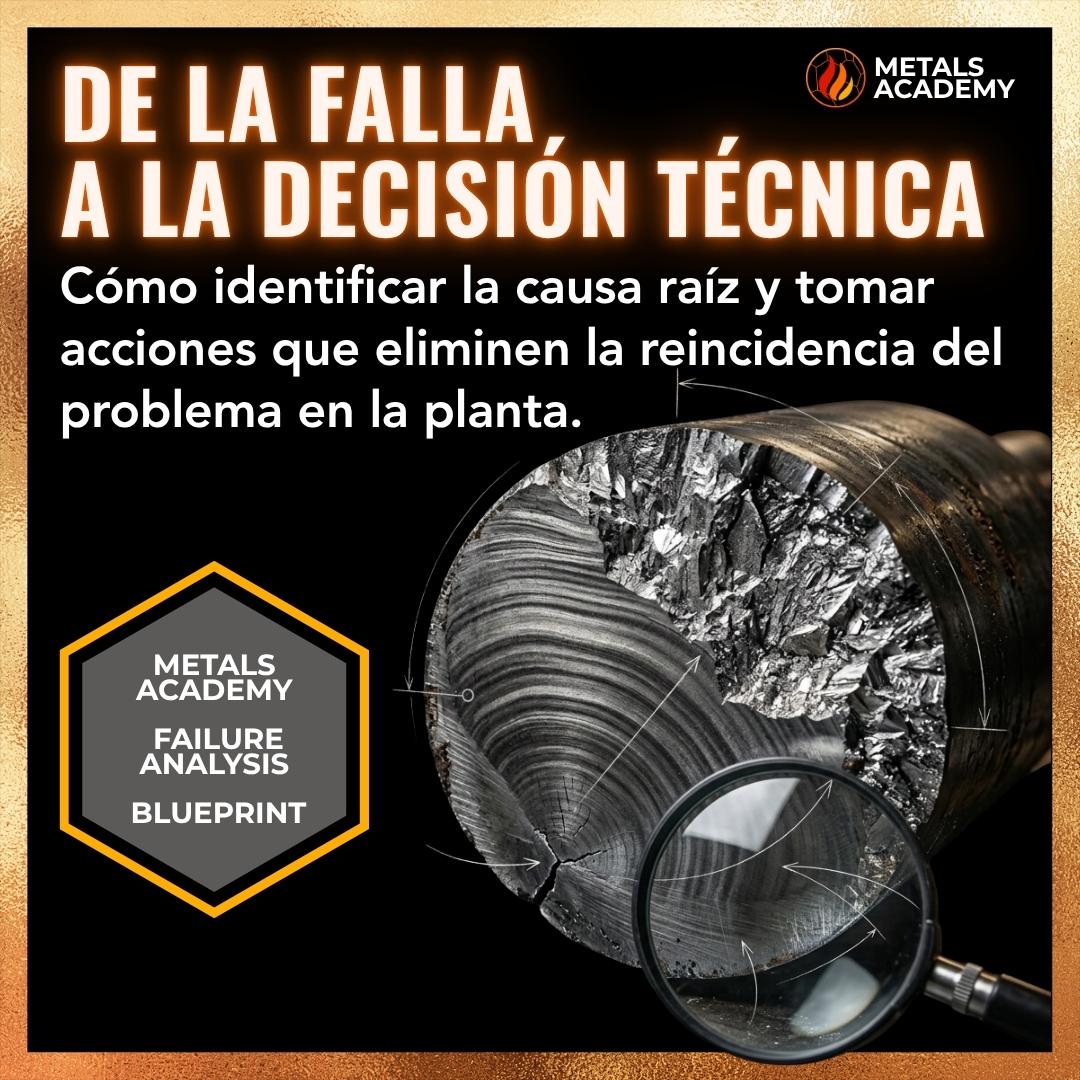 Curso Metals Academy
